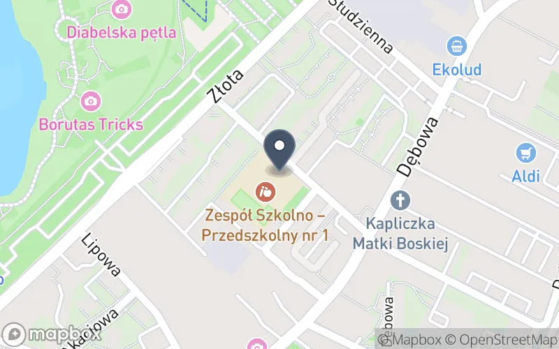 Lokalizacja: Zespół Szkolno-Przedszkolny nr 1
