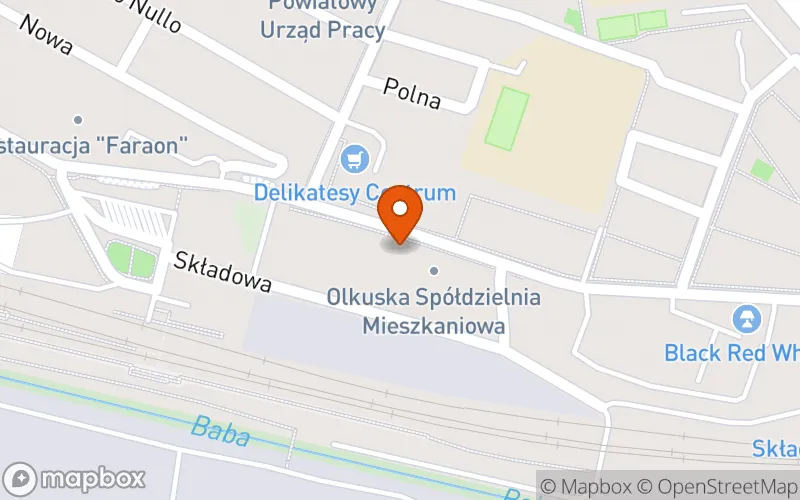 Lokalizacja: Prywatny Żłobek "Mali Odkrywcy"