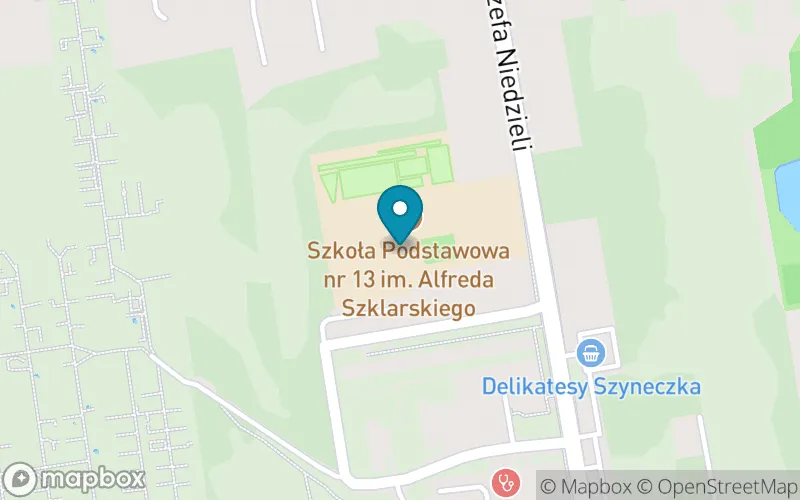 Lokalizacja: Szkoła Podstawowa nr 13 im. Alfreda Szklarskiego