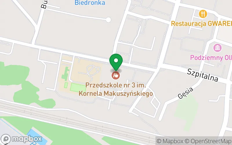 Lokalizacja: Przedszkole nr 3 im. Kornela Makuszyńskiego w Olkuszu