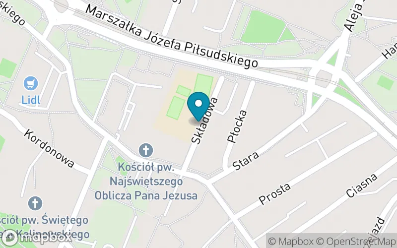 Lokalizacja: Szkoła Podstawowa nr 19 im. Marii Skłodowskiej-Curie w Sosnowcu