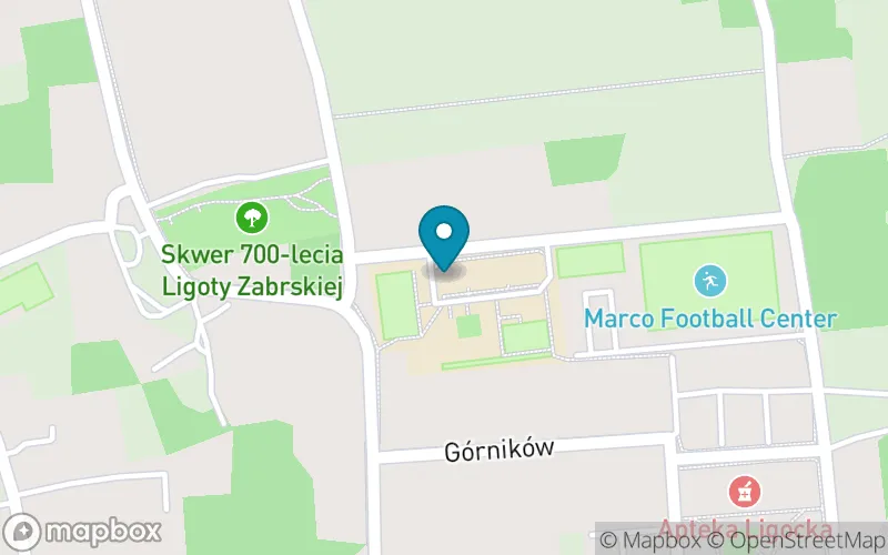 Lokalizacja: Szkoła Podstawowa nr 11 im. Hugona Kołłątaja w Gliwicach