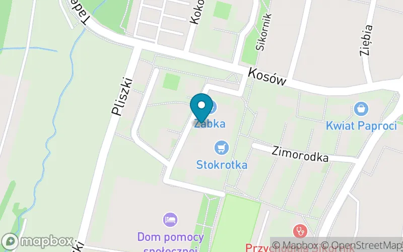 Lokalizacja: Niepubliczna Szkoła Podstawowa Wolno MI