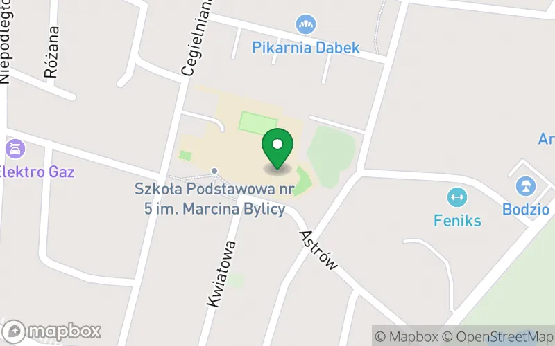 Lokalizacja: Przedszkole nr 4 im. Marii Kownackiej w Olkuszu