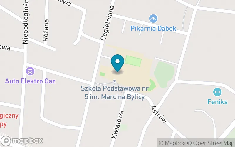 Lokalizacja: Szkoła Podstawowa nr 5 im. Marcina Bylicy w Olkuszu