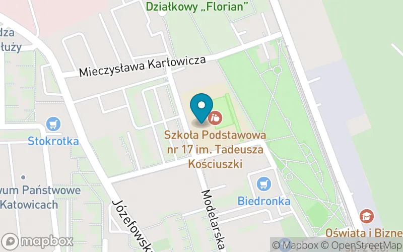 Lokalizacja: Szkoła Podstawowa nr 17 im. Tadeusza Kościuszki w Katowicach