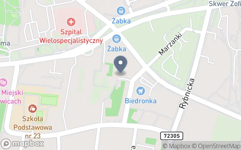 Lokalizacja: Terapia Manualna Edukacja Nompt PL