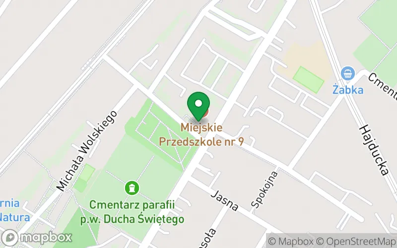 Lokalizacja: Przedszkole nr 9