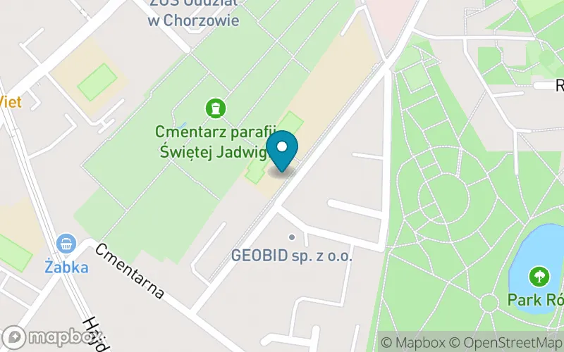 Lokalizacja: Szkoła Podstawowa nr 10 im. Jana Kochanowskiego