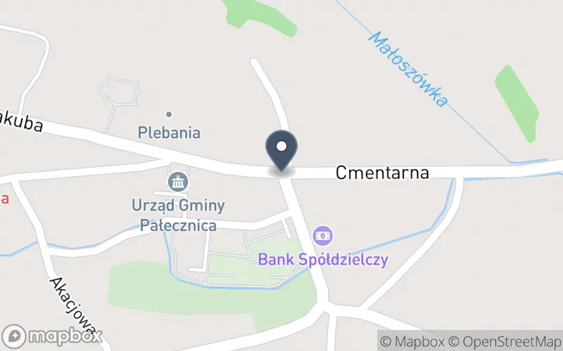 Lokalizacja: Zespół Szkolno-Przedszkolny w Pałecznicy