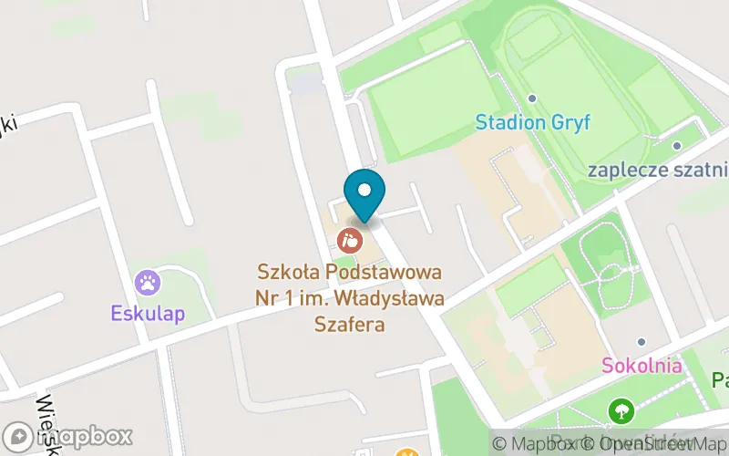 Lokalizacja: Szkoła Podstawowa nr 1 im. Władysława Szafera w Mielcu