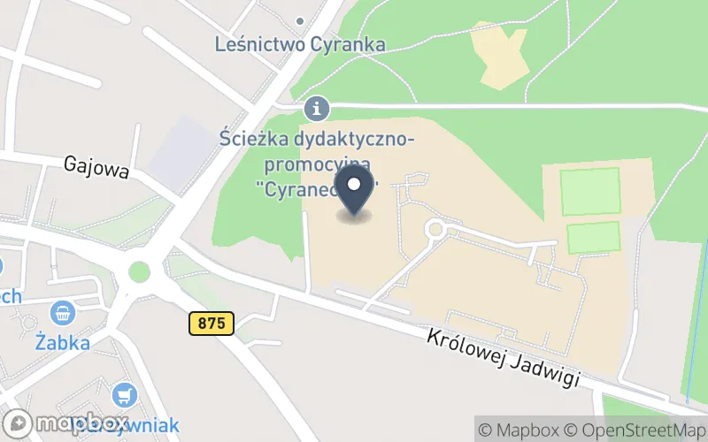 Lokalizacja: Powiatowy Zespół Placówek Szkolno-Wychowawczych w Mielcu