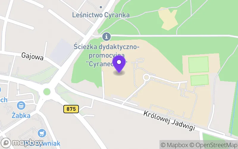 Lokalizacja: Branżowa Szkoła I Stopnia Specjalna nr 2