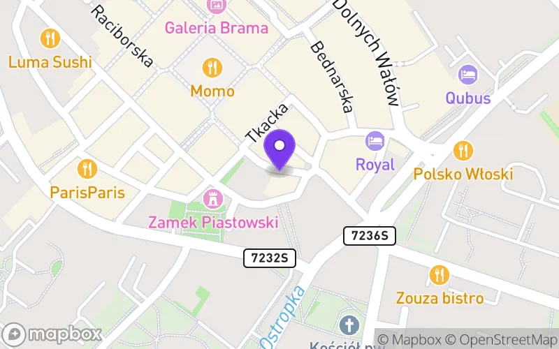 Lokalizacja: Prywatna Szkoła Baletowa w Gliwicach