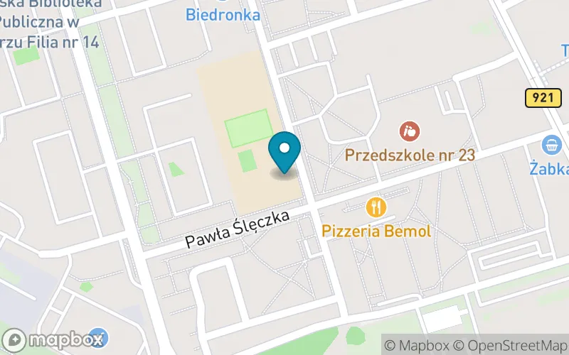 Lokalizacja: Szkoła Podstawowa nr 6 im. Marii Curie-Skłodowskiej w Zabrzu