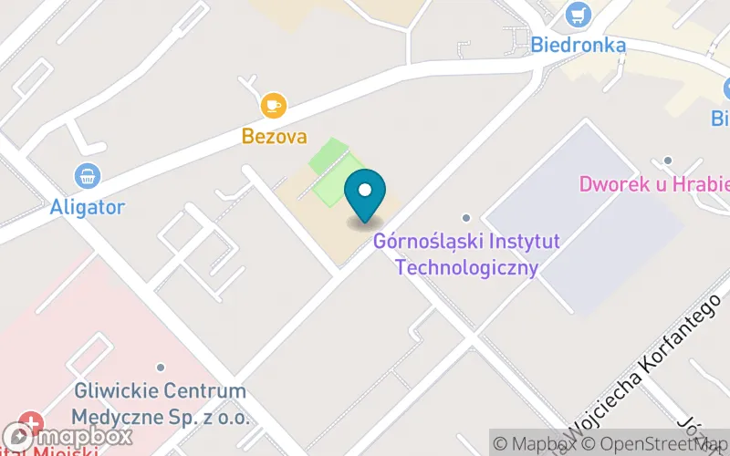 Lokalizacja: Szkoła Podstawowa nr 9 im. Króla Jana III Sobieskiego w Gliwicach