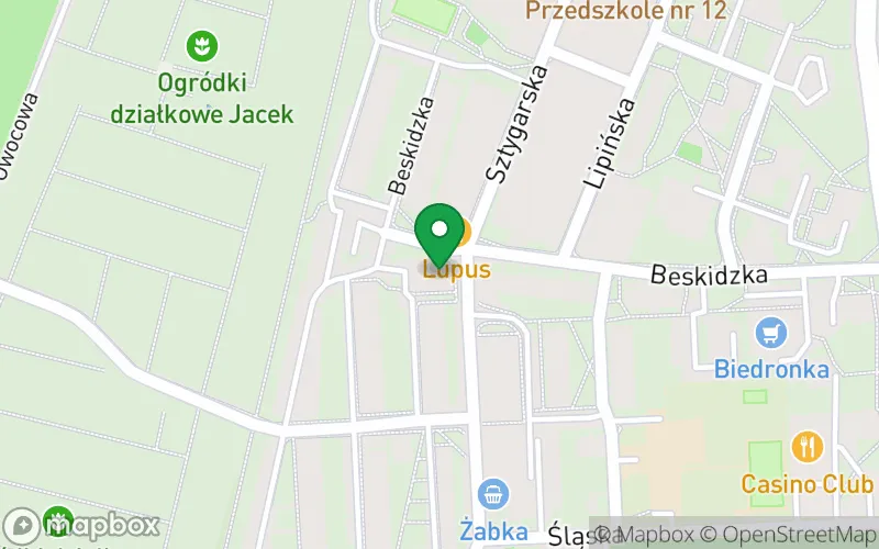 Lokalizacja: Niepubliczne Przedszkole "Smerfowa Kraina"
