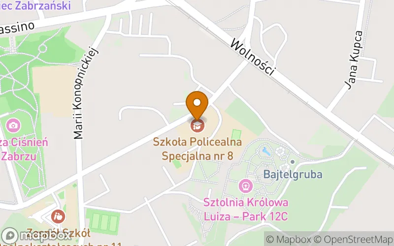 Lokalizacja: Szkoła Policealna Specjalna nr 8 w Zabrzu w Zespole Szkół Specjalnych nr 42 w Zabrzu