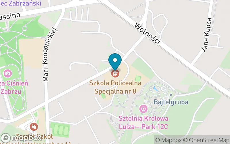 Lokalizacja: Szkoła Podstawowa Specjalna dla Uczniów Niesłyszących i Słabosłyszących nr 47 im. Jolanty Wadowskiej-Król w Zabrzu w Zespole Szkół Specjalnych nr 42 Zabrzu