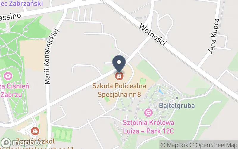 Lokalizacja: Zespół Szkół Specjalnych nr 42 w Zabrzu