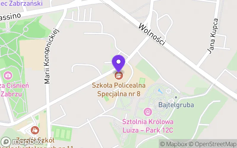 Lokalizacja: Branżowa Szkoła I Stopnia Specjalna im. Jolanty Wadowskiej-Król w Zabrzu w Zespole Szkół Specjalnych nr 42 Zabrzu