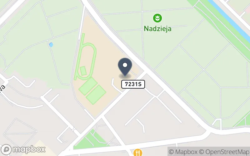 Lokalizacja: Zespół Szkół i Placówek Oświatowych nr 1 w Gliwicach