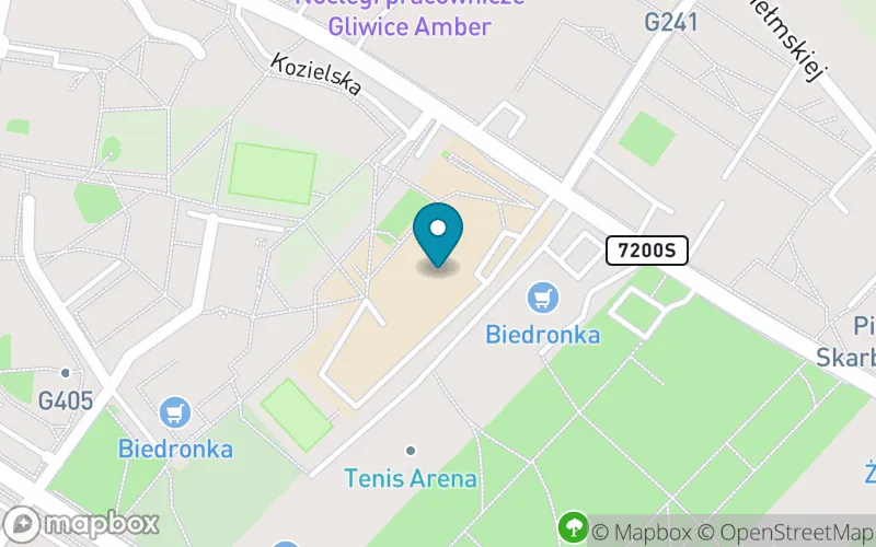 Lokalizacja: Szkoła Podstawowa z Oddziałami Integracyjnymi nr 1 im. CC Płk. Aleksandra Tarnawskiego w Gliwicach