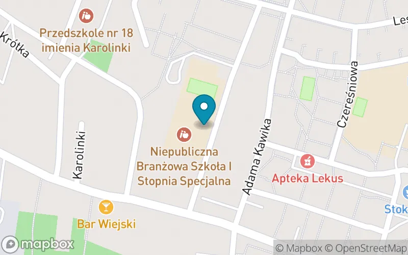 Lokalizacja: Niepubliczna Szkoła Specjalna Przysposabiająca do Pracy w Zabrzu