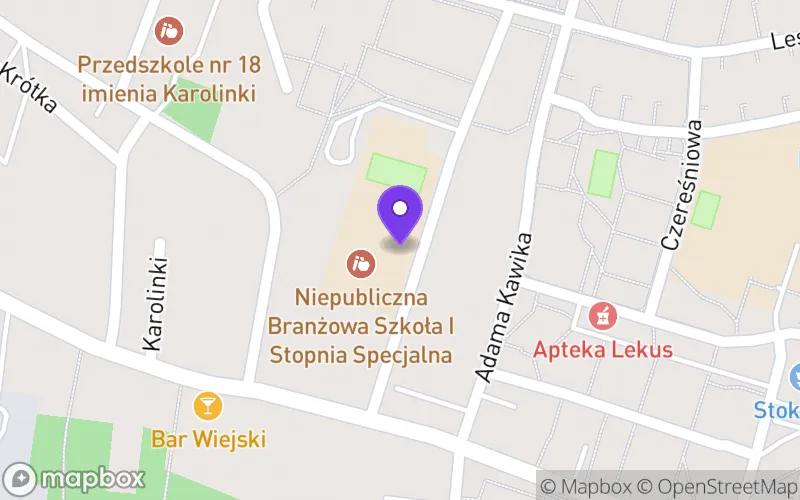 Lokalizacja: Niepubliczna Branżowa Szkoła I Stopnia Specjalna w Zabrzu