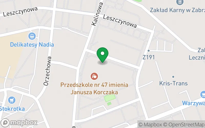 Lokalizacja: Przedszkole nr 47 im. Janusza Korczaka w Zabrzu