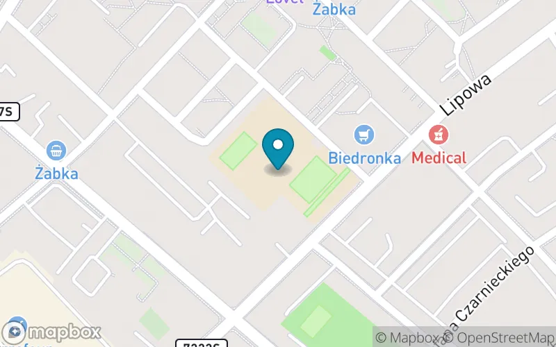 Lokalizacja: Szkoła Podstawowa nr 15 im. Ignacego Jana Paderewskiego w Gliwicach