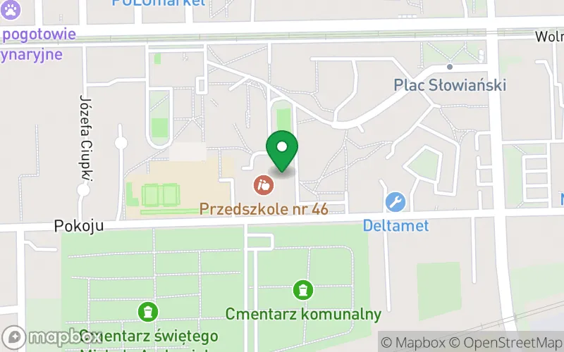 Lokalizacja: Przedszkole nr 46 w Zabrzu