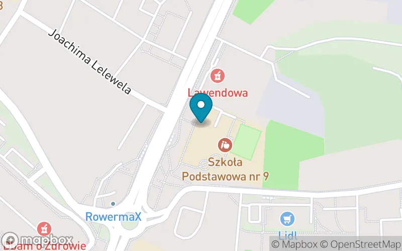 Lokalizacja: Szkoła Podstawowa nr 9 im. Marii Konopnickiej w Sosnowcu