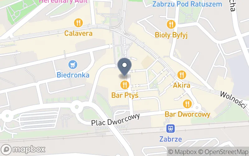 Lokalizacja: Centrum Kształcenia Ustawicznego "Copernicus" w Zabrzu
