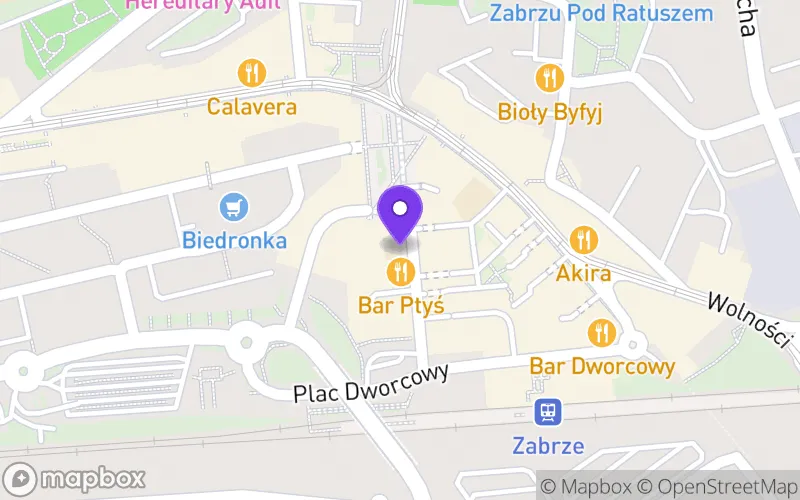 Lokalizacja: Liceum Ogólnokształcące dla Dorosłych "Copernicus"