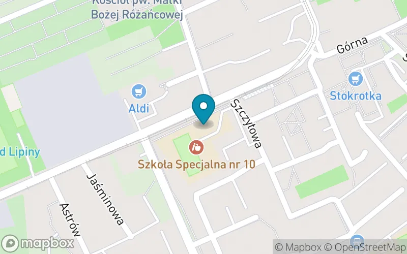 Lokalizacja: Szkoła Podstawowa Specjalna nr 10 im. Janusza Korczaka w Świętochłowicach