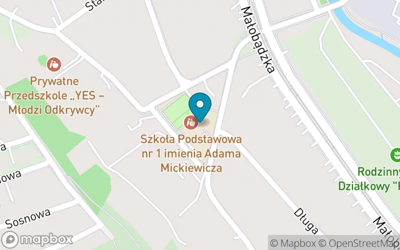 Lokalizacja: Szkoła Podstawowa nr 1 im. Adama Mickiewicza w Będzinie
