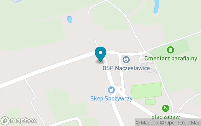 Lokalizacja: Publiczna Szkoła Podstawowa w Naczęsławicach