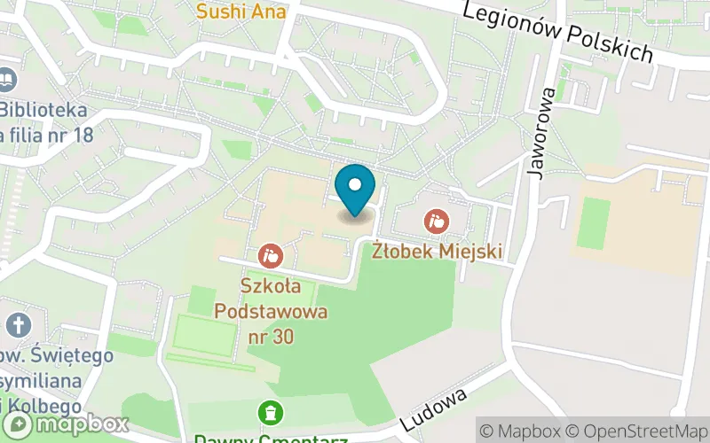 Lokalizacja: Szkoła Podstawowa nr 30 im. Emilii Zawidzkiej w Dąbrowie Górniczej