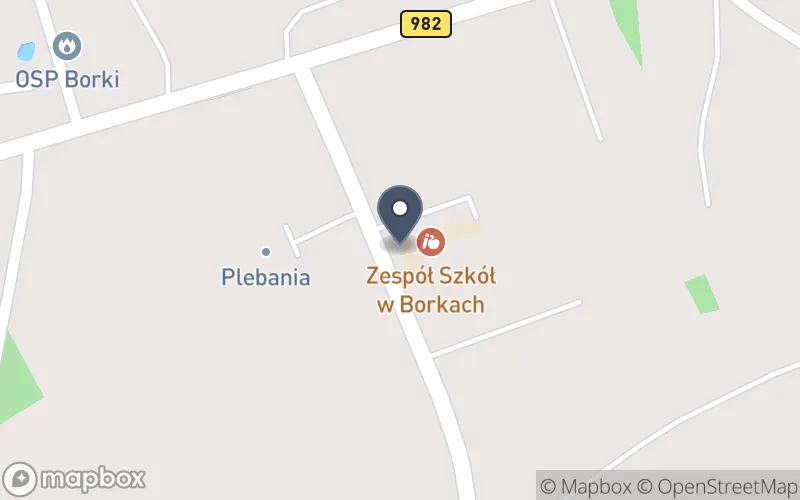 Lokalizacja: Zespół Szkolno - Przedszkolny w Borkach