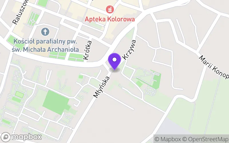 Lokalizacja: Branżowa Szkoła I Stopnia nr 4 Specjalna w Prudniku