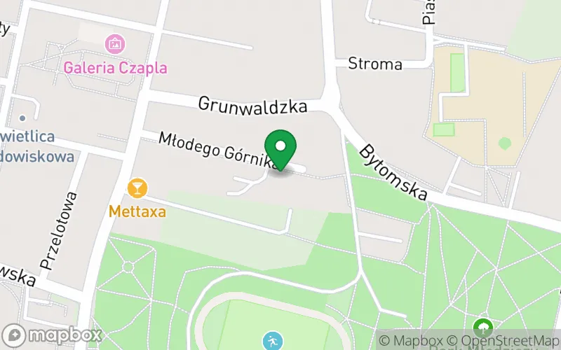 Lokalizacja: Przedszkole Niepubliczne Zgromadzenia Sióstr Św. Elżbiety w Rudzie Śląskiej