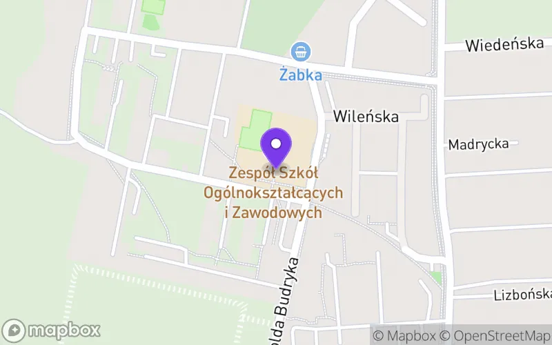 Lokalizacja: Technikum nr 3 w Siemianowicach Śląskich