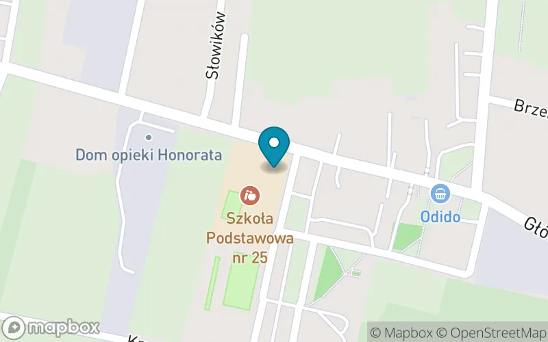 Lokalizacja: Szkoła Podstawowa nr 25 im. Stanisława Hadyny