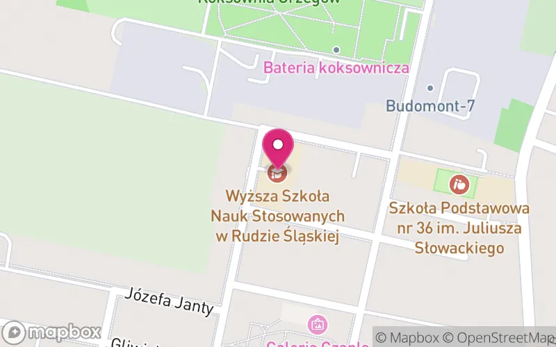 Lokalizacja: Wyższa Szkoła Nauk Stosowanych w Rudzie Śląskiej