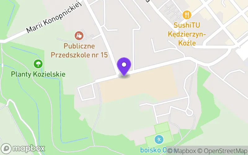 Lokalizacja: Technikum nr 1