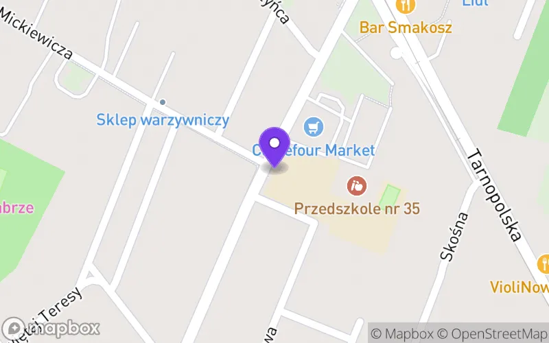 Lokalizacja: VII Liceum Ogólnokształcące w Zabrzu w Zespole Szkół nr 10 im. Prof. Janusza Groszkowskiego w Zabrzu