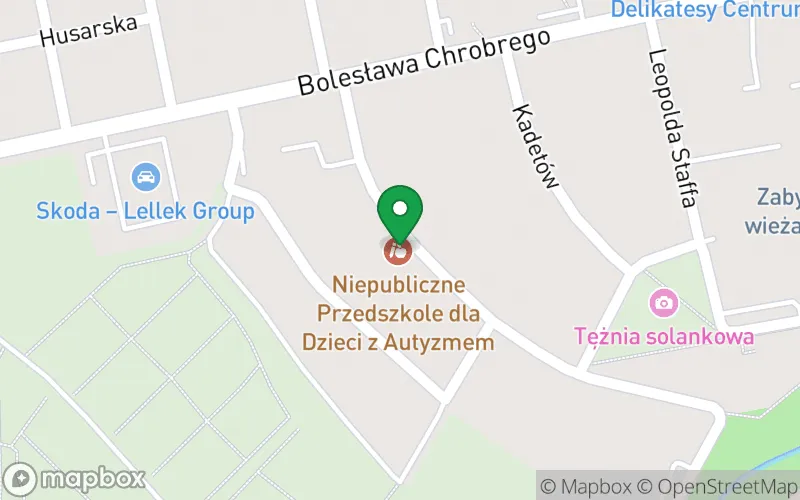 Lokalizacja: Niepubliczne Przedszkole dla Dzieci z Autyzmem