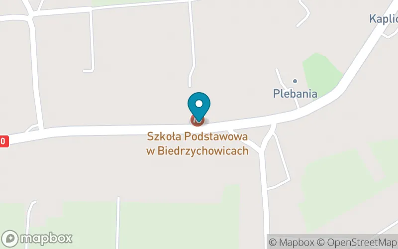 Lokalizacja: Szkoła Podstawowa im. S. Anny Kaworek w Biedrzychowicach