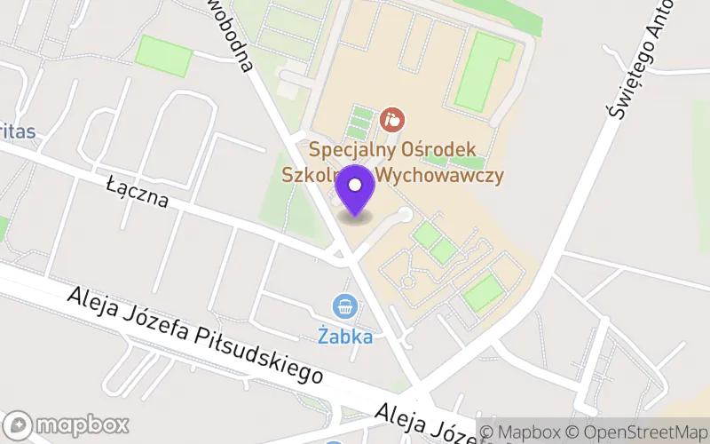 Lokalizacja: Branżowa Szkoła I Stopnia Specjalna nr 1 im. Zofii Książek-Bregułowej w Specjalnym Ośrodku Szkolno-Wychowawczym dla Dzieci i Młodzieży Niepełnosprawnej w Dąbrowie Górniczej, ul. Swobodna 59